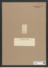 Synedra sp. (de-Toni-Nr.: Genus 66, Species 791 ?) Zeichnungen Sammlung Grunow Nr. 5417 (NHMW-BOT-W0373853)